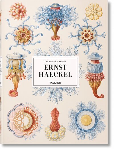 The Art And Science Of Ernst Haeckel (Gb/All/Fr), Haeckel-Trilingue