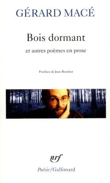 Bois Dormant Et Autres Poèmes En Prose, Et Autres Poèmes En Prose - Gérard Macé