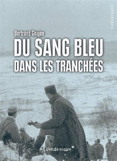 Du Sang Bleu Dans Les Tranchees - Bertrand Goujon