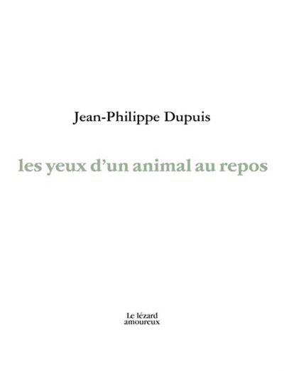 Les Yeux D'Un Animal Au Repos