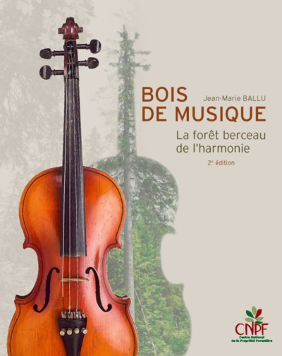 Bois de musique