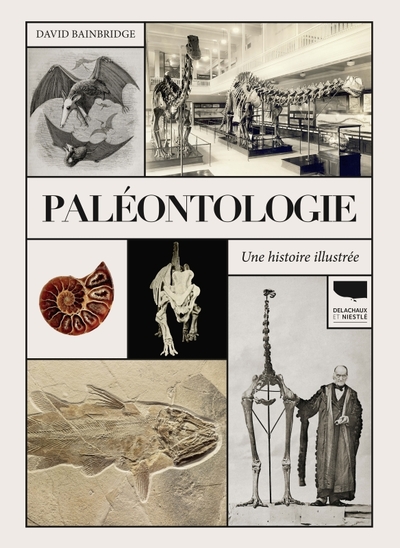 Paléontologie. Une histoire illustrée - David Bainbridge