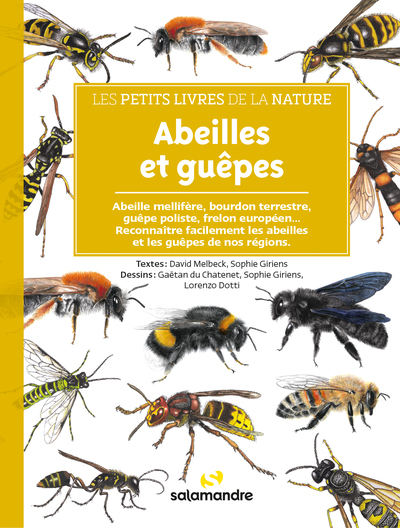 Abeilles Et Guêpes