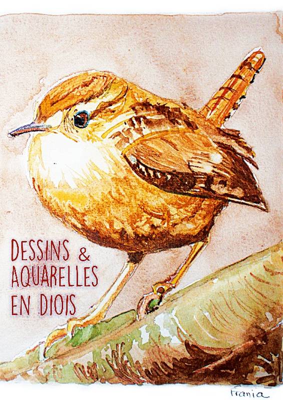 Dessins & Aquarelles en Diois: Atelier Escdd