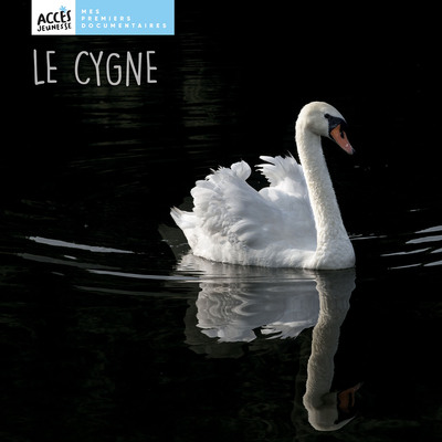 Le cygne - Léa Schneider