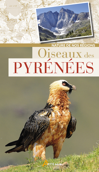 Oiseaux Des Pyrénées - Collectif