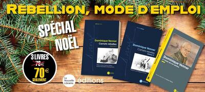 Rébellion, mode d'emploi (spécial Noël)