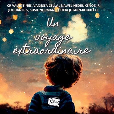 Un voyage Extraordinaire - Susie Norman