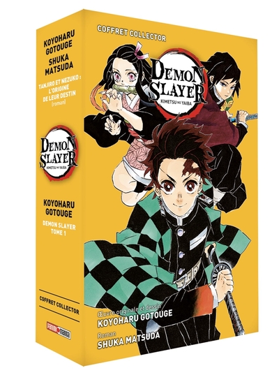 Demon Slayer Volume 01