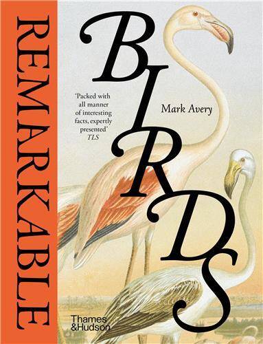 Remarkable Birds (Compact ed) /anglais