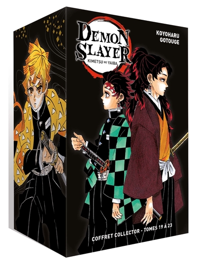 Demon Slayer Volume 19