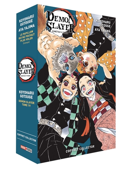 Demon Slayer Volume 19