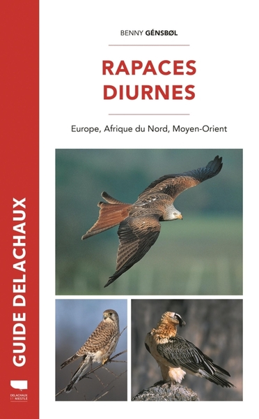 Rapaces diurnes