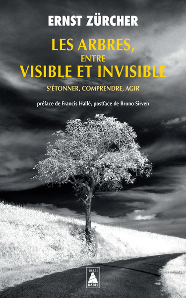 Les arbres, entre visible et invisible