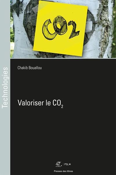 Valorisation du CO2 - Chakib Bouallou