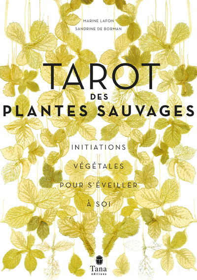 Tarot des plantes sauvages