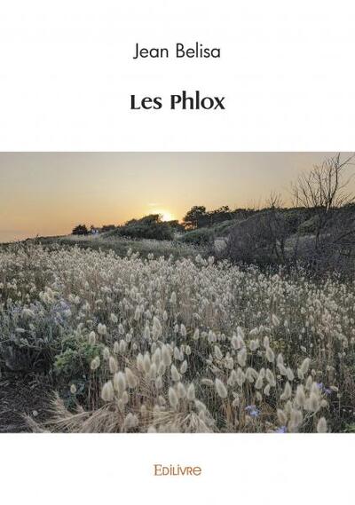 Les phlox