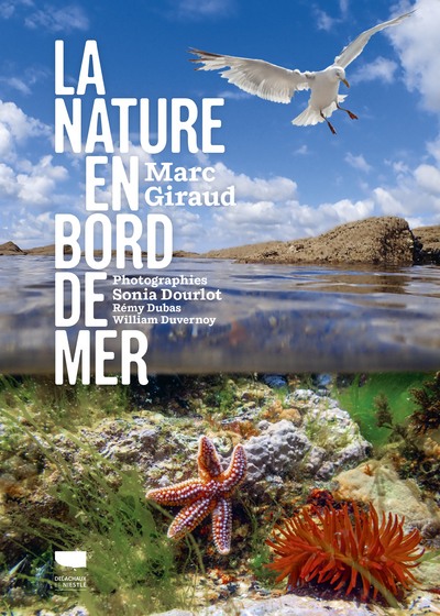 La nature en bord de mer