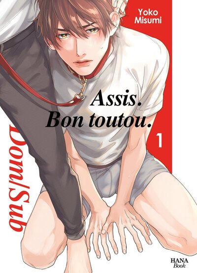 Assis. Bon toutou Volume 1