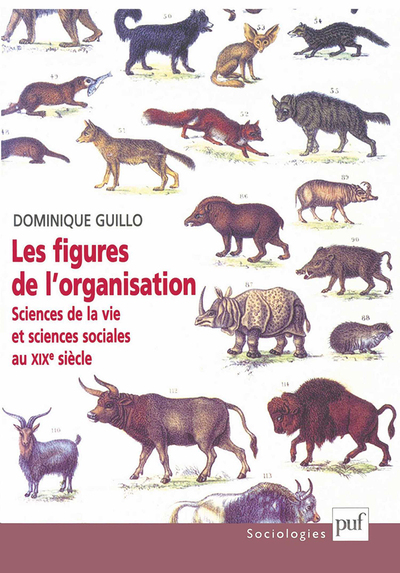 Les Figures De L'Organisation - Dominique Guillo