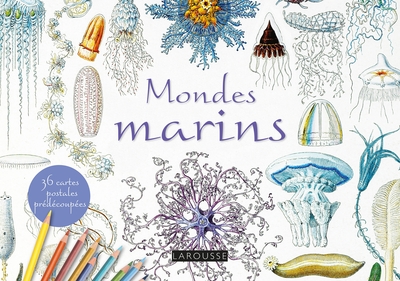 Cartes postales à colorier : Mondes marins - x