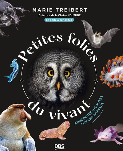 Petites Folies Du Vivant, Anecdotes Insolites Sur Les Animaux Avec La Boîte À Curiosités