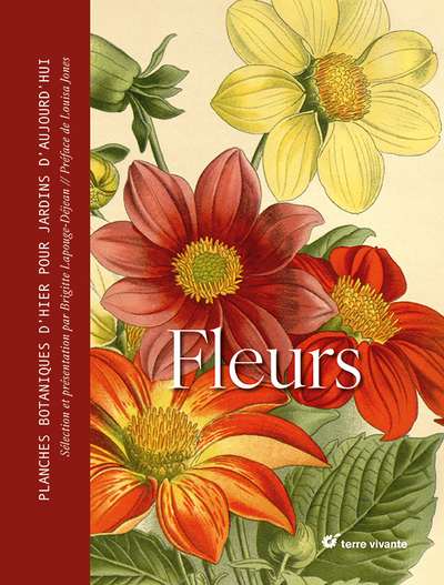 Fleurs - Brigitte Lapouge-Déjean