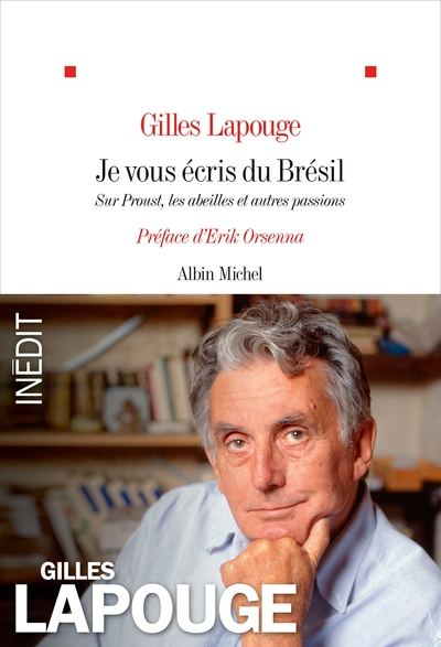 Je vous écris du Brésil - Gilles Lapouge