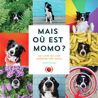 Mais où est Momo ?