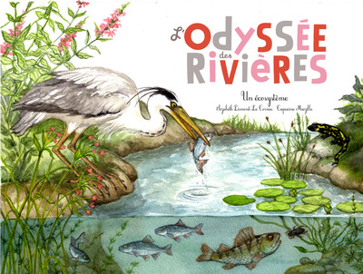 L'Odyssee Des Rivieres (Coll. Ohe La Science !)