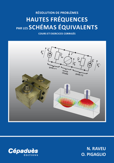 Résolution de problèmes hautes fréquences par les schémas équivalents