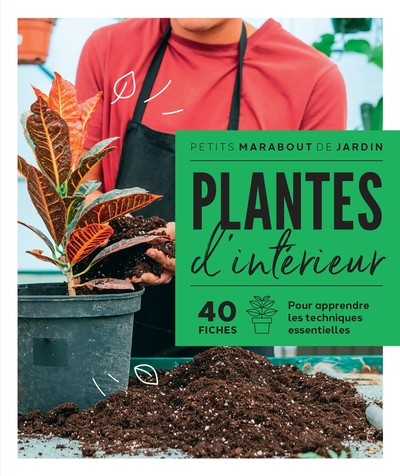 Plantes d'intérieur