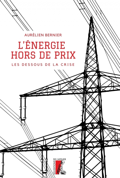 L'énergie, hors de prix - Les dessous de la crise - Aurélien BERNIER