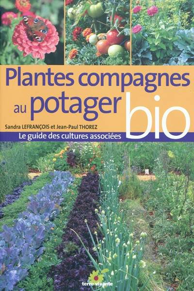 Plantes compagnes au potager bio