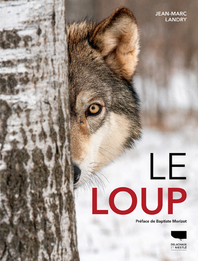 Le Loup - Jean-Marc Landry