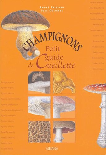 Champignons - Petit guide de cueillette