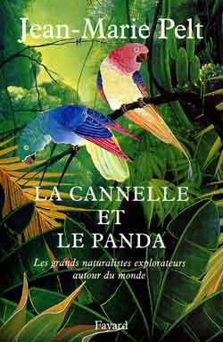 La cannelle et le panda