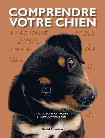 Comprendre votre chien