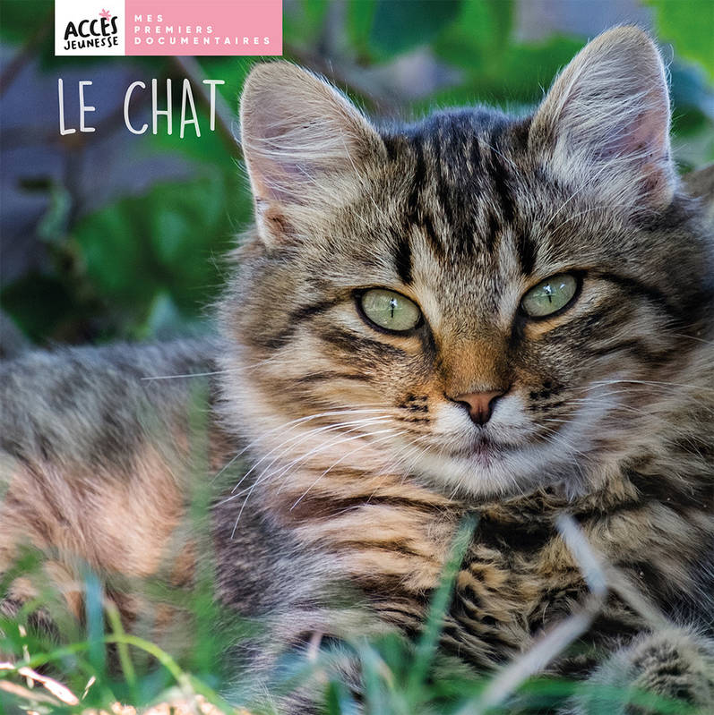 Le chat mes premiers documentaires