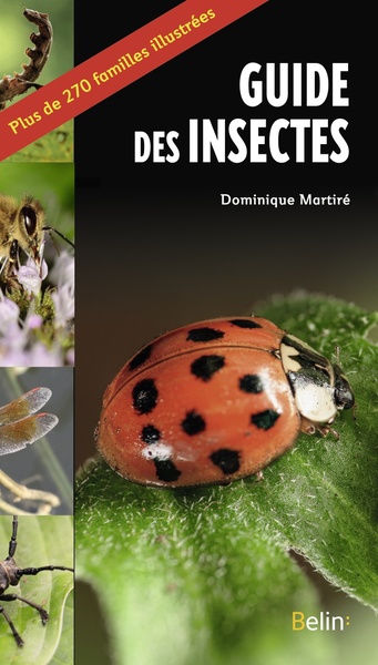 Le guide des insectes - Dominique Martiré