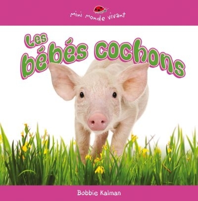 Les bébés cochons