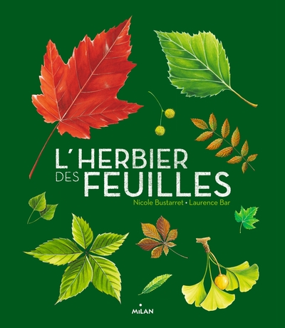 L'herbier des feuilles