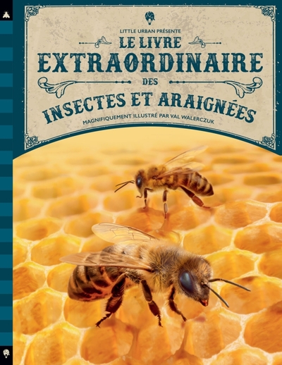 Le livre extraordinaire des insectes et araignées