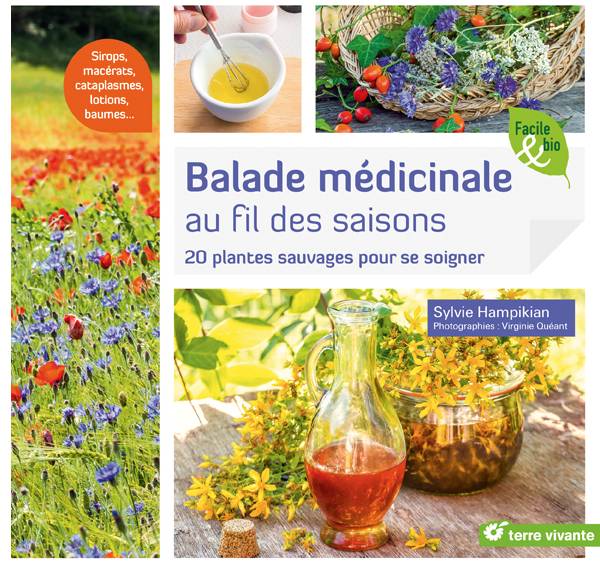 Balade médicinale au fil des saisons