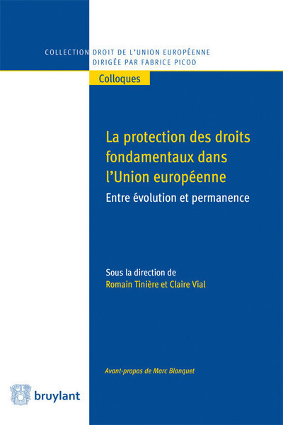 La protection des droits fondamentaux dans l'Union européenne