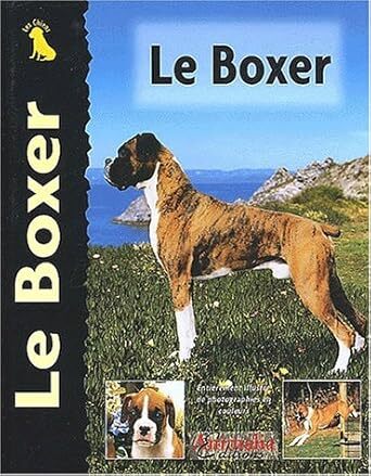 Le Boxer - Edward Winston Cavanaugh