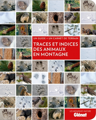 Traces et indices des animaux en montagne