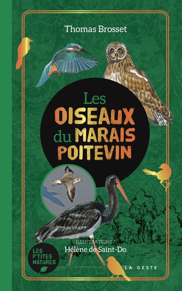 Les oiseaux du Marais Poitevin