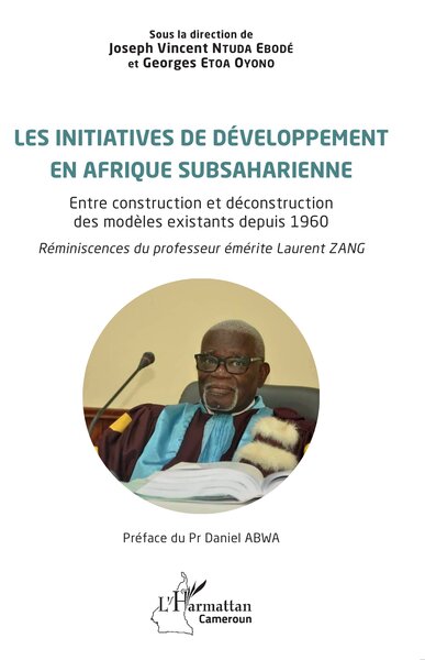 Les initiatives de développement en Afrique subsaharienne