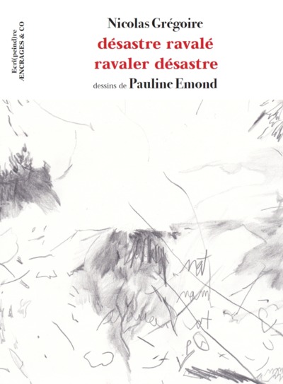 Désastre ravalé, ravaler désastre - Nicolas Grégoire